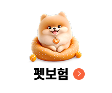 펫보험