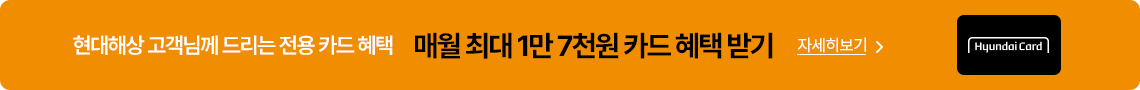현대해상 고객님께 드리는 전용 카드 혜택. 매월 최대 1만 7천원 카드 혜택 받기. 자세히보기