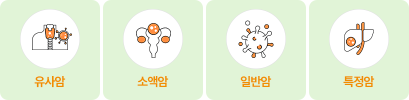 유사암, 소액암, 일반암, 특정암